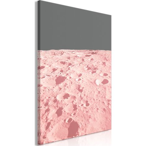Tableau Imprimé "Pink Moon" 60 x 90 cm (1/2)