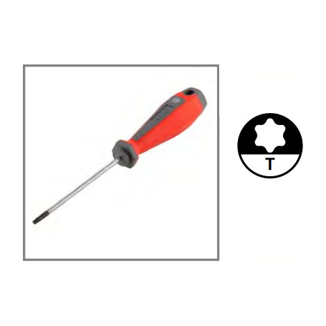 SUKI - CACCIAVITE TORX TX25 X100mm