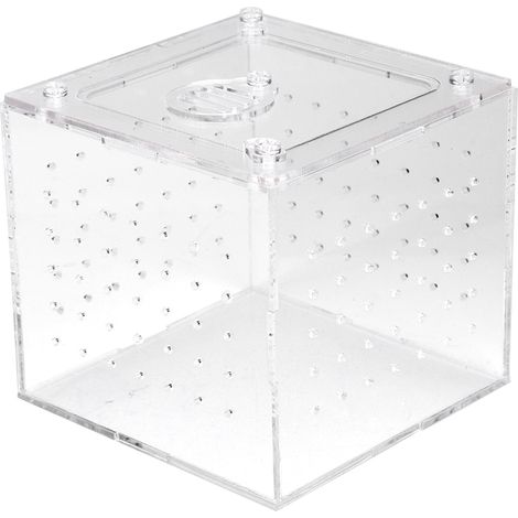 Récipient élevage boîte pour serpent gecko en acrylique pratique durable - idée cadeau, matériau résistant, entretien facile (1/5)