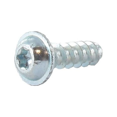Vis parker à tête torx GGP - CASTELGARDEN 112728697/0