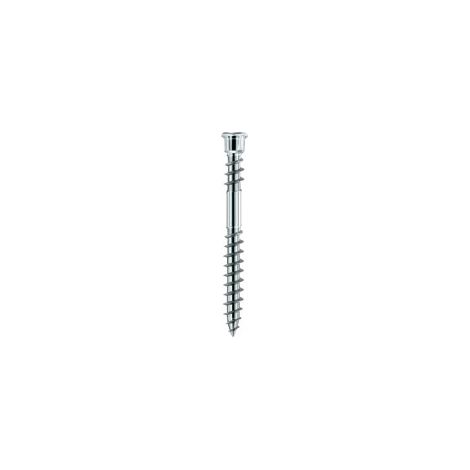 Vite Per Terrazza Testa Cilindrico Tx15 Acciaio Inossidabile Temprato Con Omologazione, 905535 5,5 X 70 (A 200)