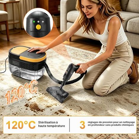 Handheld Steam Cleaner Accessories, 2500 W, Multifunction Steam Pressure, 3 Bar Steam Pressure, 15s Heat Time, 1600ml Tank, Manual Steam Cleaner for All Floor Cleaning, Windows (1/3)