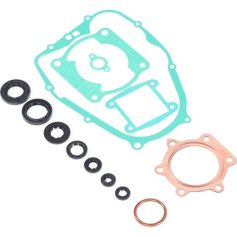 Kompletter Dichtungssatz für Yamaha Blaster 200 YFS200 Motor 1988-2006 mit Dichtungsringen (1/5)