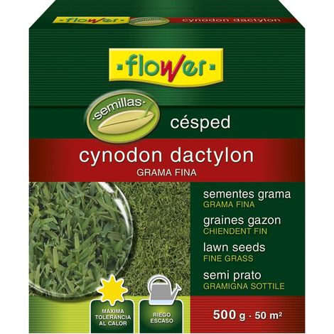 Flower 10796 10796-Seme Cynodon Dylon, 500 g, Non Si Applica, 14.4x6x16 cm