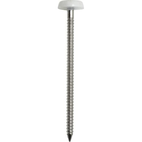 Caja de 100 clavos anillados ACTON A4 de acero inoxidable - cabeza abovedada PVC - 50 x 2,5mm - 647882,5X50CDT100P