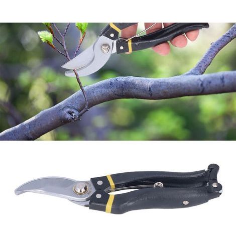 Garden FutureCiseaux de Jardinage Faciles à Utiliser pour Taille des Arbres Fruitiers et des Branches - Outils de Jardin Parfaits pour la Pruning et l'Entretien du Jardin - KZQ (1/2)