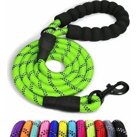 DEESSE SHOP - Corde pour chien, laisse pour chien en nylon avec poignée rembourrée douce et fils réfléchissants, 150 cm x 1,2 cm, vert (1/5)