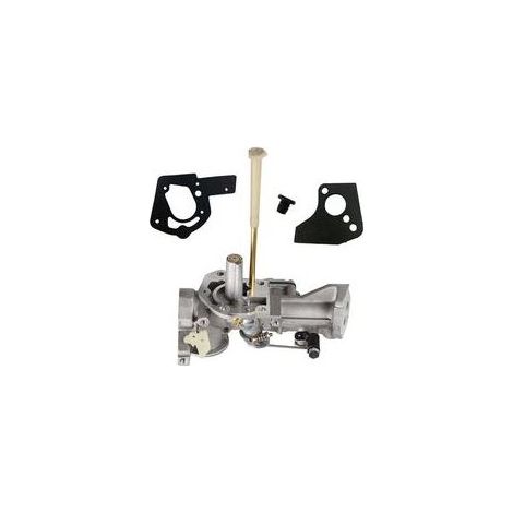 Carburateur pour motoculteur – Remplacement Briggs et Stratton 498298, 692784, 495951 – Performance fiable pour jardinage (1/5)