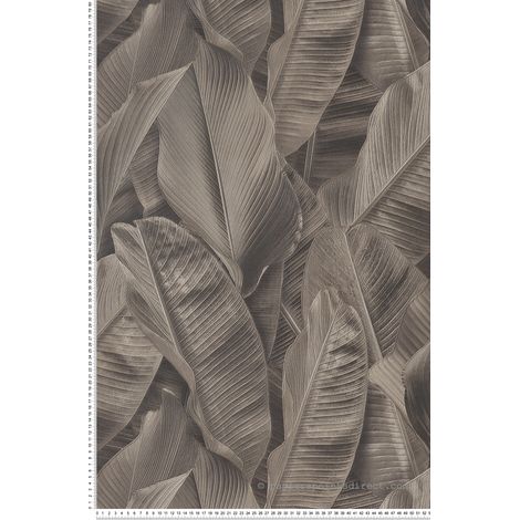 Papier peint Jungle Marron Folium Montecolino