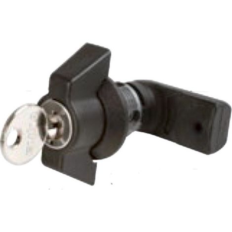 Serrure clé (F405) pour coffret Universelle - Digital electric 48457