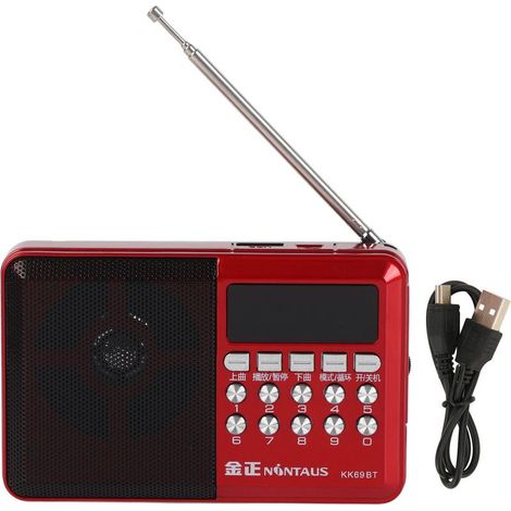 Radio AM FM Portable avec Lecteur MP3, Antenne Externe et Fonction Mémoire, Alimenté par Piles, Design Ergonomique pour Poche (1/5)