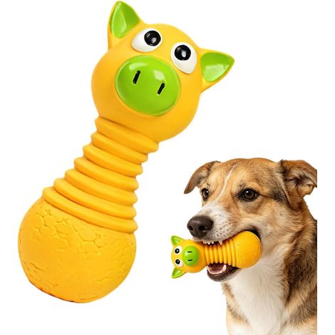 à mâcher pour Chien Bâtonnets Interactifs Divertissants en Latex  À Mâcher En Latex Pour Chien Pour Chien Maison Salon Chambre Cour Jardin Balcon Arrière-cour (1/5)