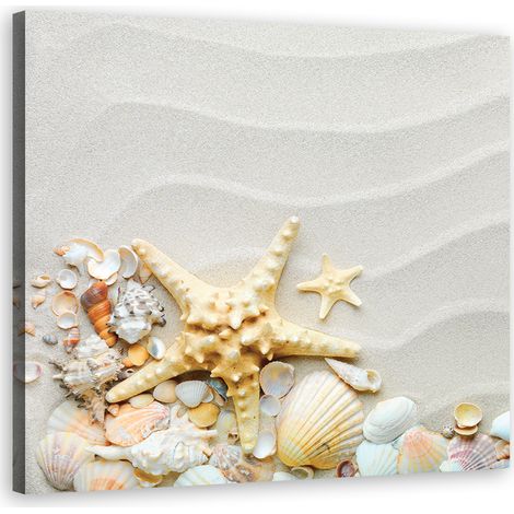 Tableau sur toile Coquillages plage beige 40x40 (1/5)