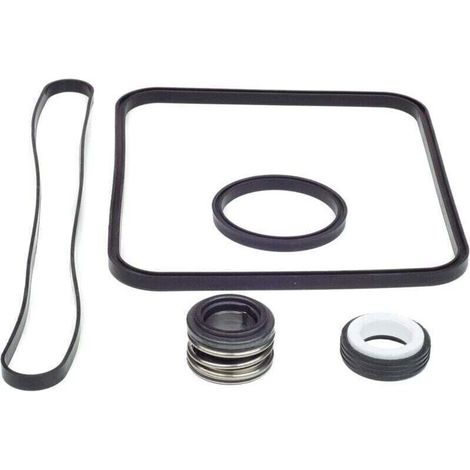 Bardusch-Joint de rechange pour pompe Super Pump pour kit Hayward Go tible avec les modèles SP1600, SP2600 Regular, X, VSP. SPX1600TRA SP1600Z2 PS-201 SPX1600R SPX160 0S SPX1 600T Piscine (1/4)