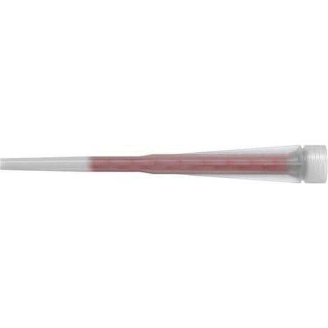 BECCUCCI FISCHER UNIVERSALI   A.545853
