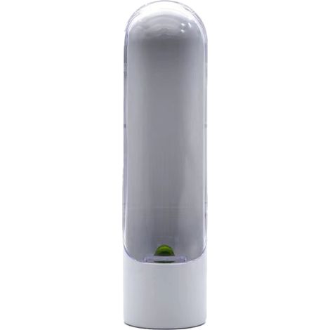 Économiseur d'herbes en plastique, fenêtre transparente, récipient de stockage frais réutilisable pour asperges, coriandre, persil blanc