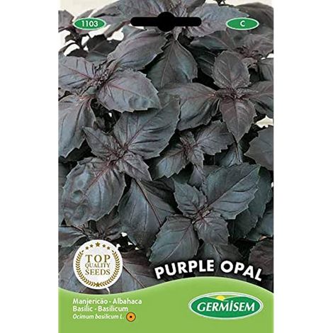 Graines de Basilic 2 g EC1103 Multicolore (1/2)