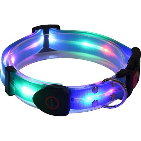 Collier LED rechargeable pour chien – Bleu – Étanche et résistant – Parfait pour promenades nocturnes – Nylon ajustable (1/5)