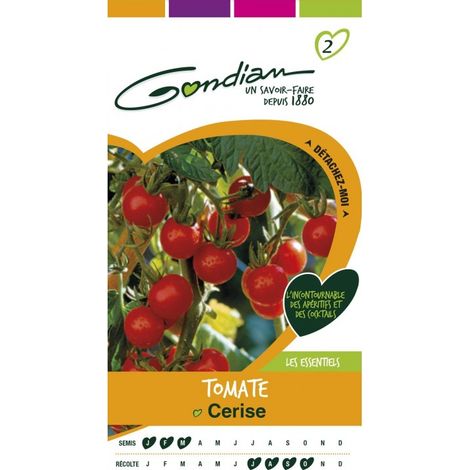 Gondian - Tomate Cerise