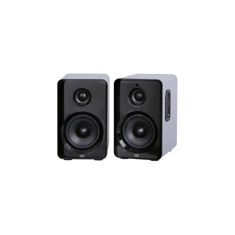 Trevi COPPIA DI ALTOPARLANTI WIRELESS 50W USB MICRO SD AUX IN AVX 565 BT (1/5)