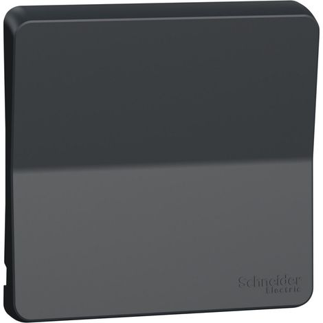 Enjoliveur avec symbôle sonnette Mureva Styl - IP55 - IK08 - gris - Schneider Electric - MUR34201 (1/3)