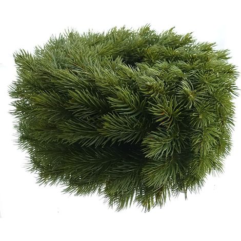 Gasper Adventskranz Tanne grün Ø 38 cm - Kunstpflanzen