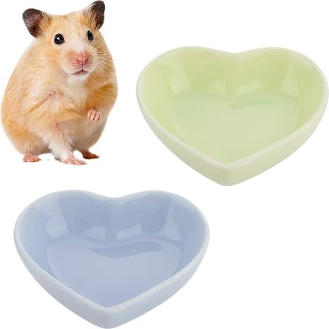 Lot de 2 gamelles en céramique anti-retournement pour hamster, gerbille, hérisson, rat et autres rongeurs (vert et violet) (1/5)