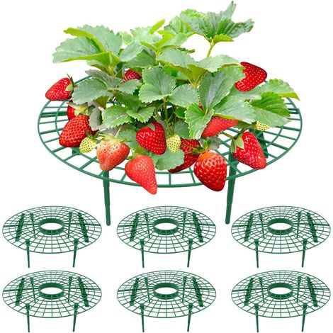 6 - Support De Fraise - Accessoire De Jardinage - Protection Contre La Pourriture Et Moisissure - Pour Fraises Tomates Poivrons - Vert - 30x30x10cm