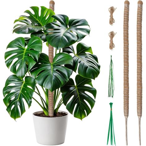 2 x Coco Climbing Plant Support 60 cm, Foldable and Flexible Foam Stick with Rope and Ties for Monstera, Pothos, Philodendron (1/5)
