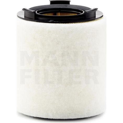 LUFTFILTER C15008 MANN (1/2)