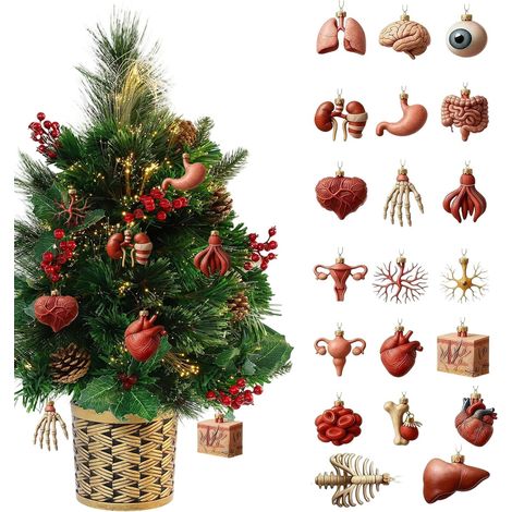 Calendrier de l'Avent 2025 Ornements de calendrier de l'Avent 2D (24 jours) Ornements d'orgue miniatures – pour infirmières, étudiants, médecins, anniversaires, remises de diplômes, sapins de Noël, (1/5)