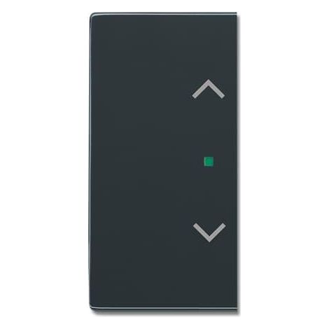 Enjoliveur 1/2 Touche D/G 1 Led 1 Picto Store Futur Linear Anthracite 2CKA006220A0158 ABB BJE518157