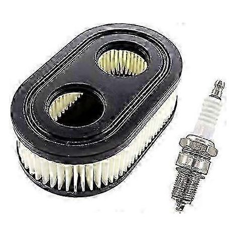 Filtre à air et bougie d'allumage pour Briggs & Stratton 500 500E 550E 550EX 575EX 625E 675 625EX 675EX 6 (1/5)
