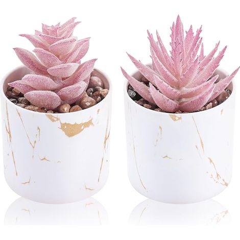 Rose mini plantes succulentes artificielles pour la maison, le bureau, les accessoires de bureau pour femme (1/5)