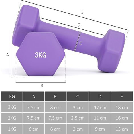 Kit haltères avec rack de rangement, 6 poids pour musculation : 2x1 kg, 2x2 kg, 2x3 kg. (1/5)