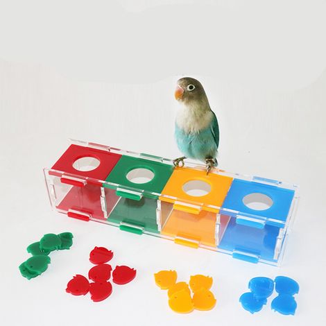 Boîte à pièces de tri de couleurs pour perroquet, jouet éducatif et interactif de bureau, accessoires pour oiseaux (1/5)