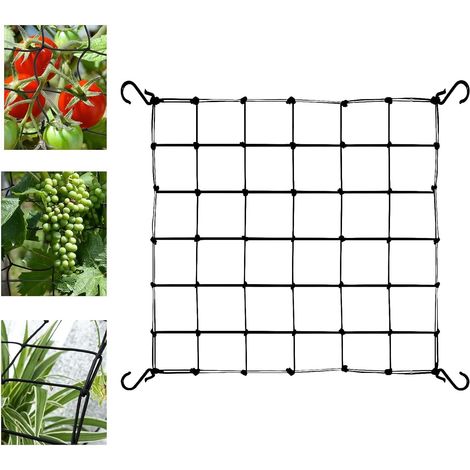 Scrog Netz 90x90 cm Pflanzennetz Elastische Ranknetz für kletterpflanzen Gartennetze mit 4 Haken Ranknetz für Pflanzen, Gemüse, Früchte, Blumen (1/5)