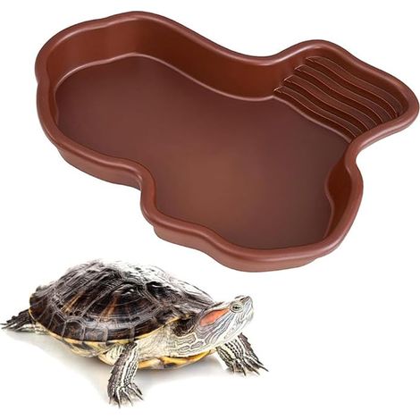 Coupelle d'eau tortues, coupelle d'eau reptiles, bassin de bain reptiles, bassin de bain tortues jardin, reptiles, grenouilles (1/5)
