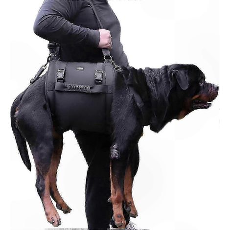 Sac de transport pour grand chien avec support pour les pattes et harnais de levage d'urgence, idéal pour la rééducation et les propriétaires d'animaux. (1/5)