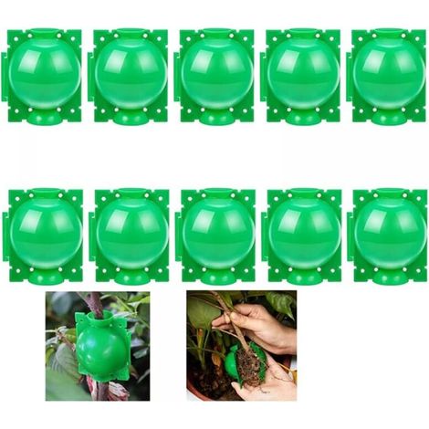 10 boules d'enracinement pour plantes - Boîte de greffe de jardin - Boîte d'enracinement pour semis - Boules de semis - 5 cm, vert (1/4)