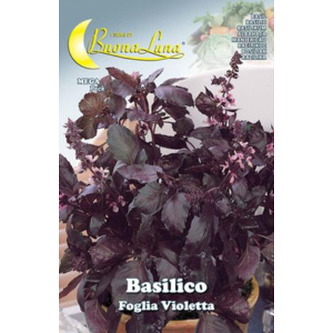 10PZ SEMI ORTO BASILICO 'FOGLIA VIOLETTA' (1/2)