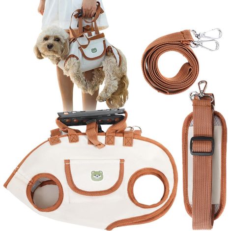 de mobilit pour chien Harnais de transport pour chien (1/5)