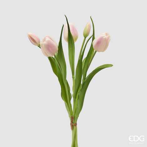 EDG Enzo De Gasperi Bouquete Tulipano Chiuso X4 H 40 Cm con Bocciolo Bianco Rosa