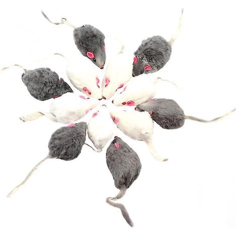 12 jouets pour chats (1/3)