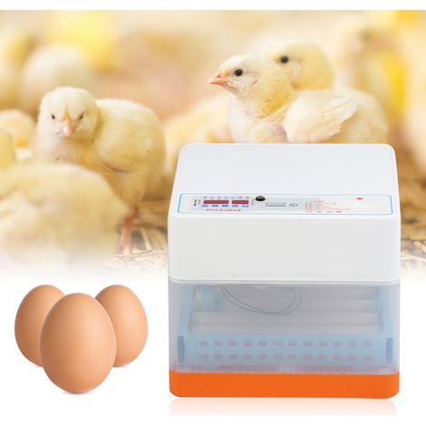 Incubateur automatique domestique pour œufs de volaille (24 œufs) (1/5)