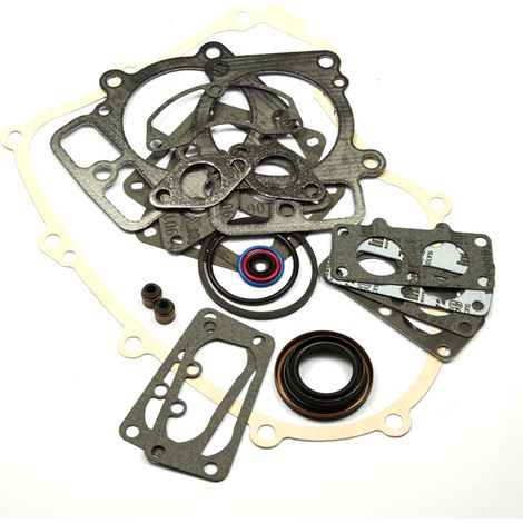 Motordichtungssatz von Briggs und Stratton  694012