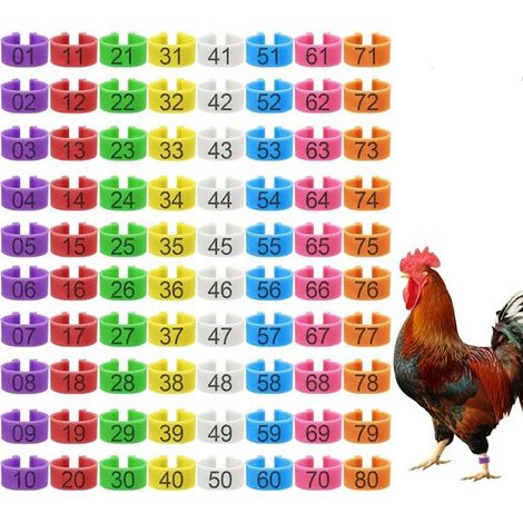 80 Stück 16 mm Hühnerbeinringe in 8 Farben farbenfrohe, nummerierte Identifikationsringe (01 80) für Hühner Entenbeinmarken für Geflügel Digitale (1/5)