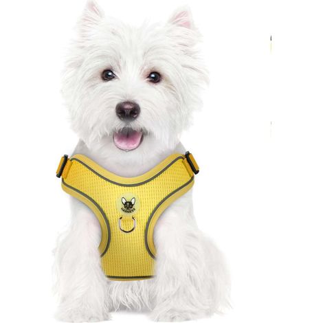Hundegeschirr mit Leine zum Spazierengehen, reflektierend, verstellbar, weich, Größe M, gelb