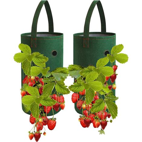 Filiyano-Sacs de culture suspendus pour fraisiers, 22 x 38 cm (1/5)