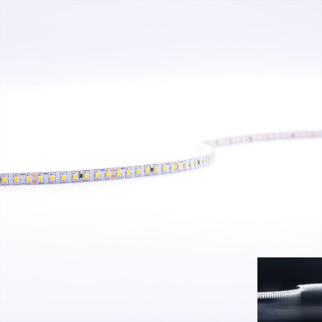 Strip 24V LED Streifen 5M 8W/m 224LED/m 5mm - Lichtfarbe: Kaltweiß 6000K - Schutzart: IP20 (1/5)